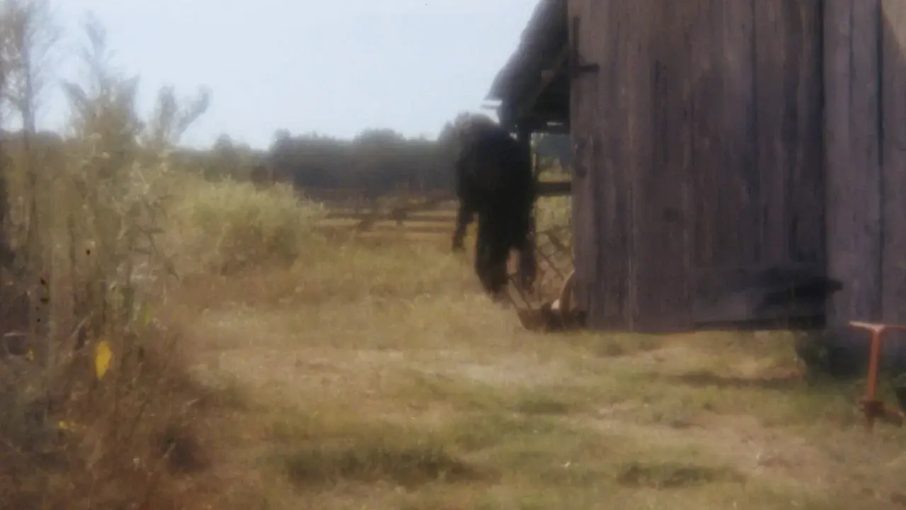 Boggy Creek II: And the Legend Continues