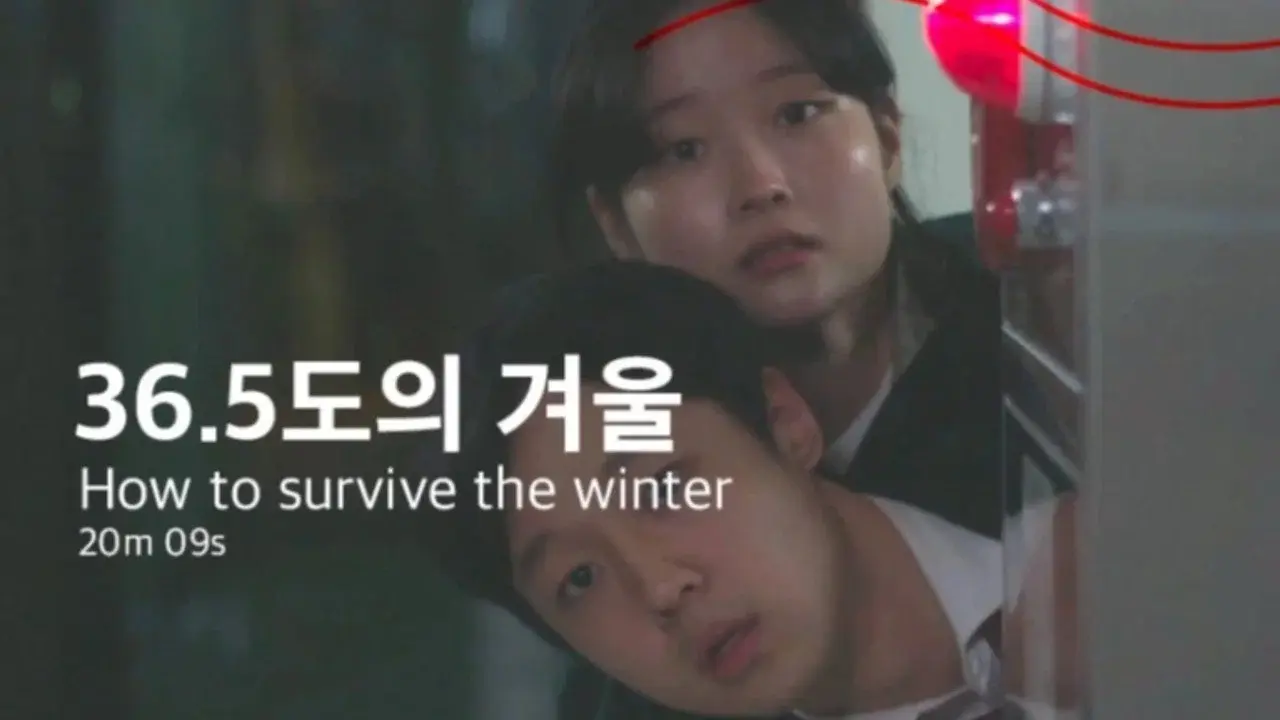 How to survive the winter