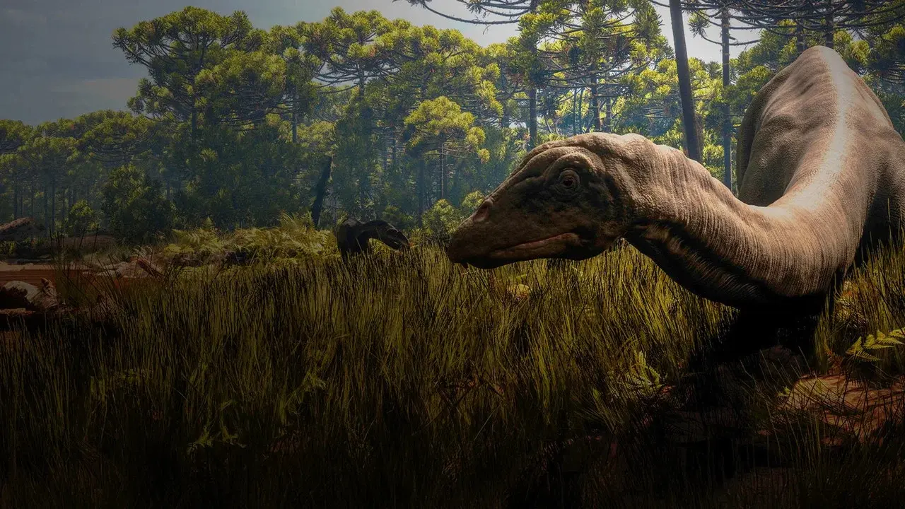 Secrets of the Jurassic Dinosaurs