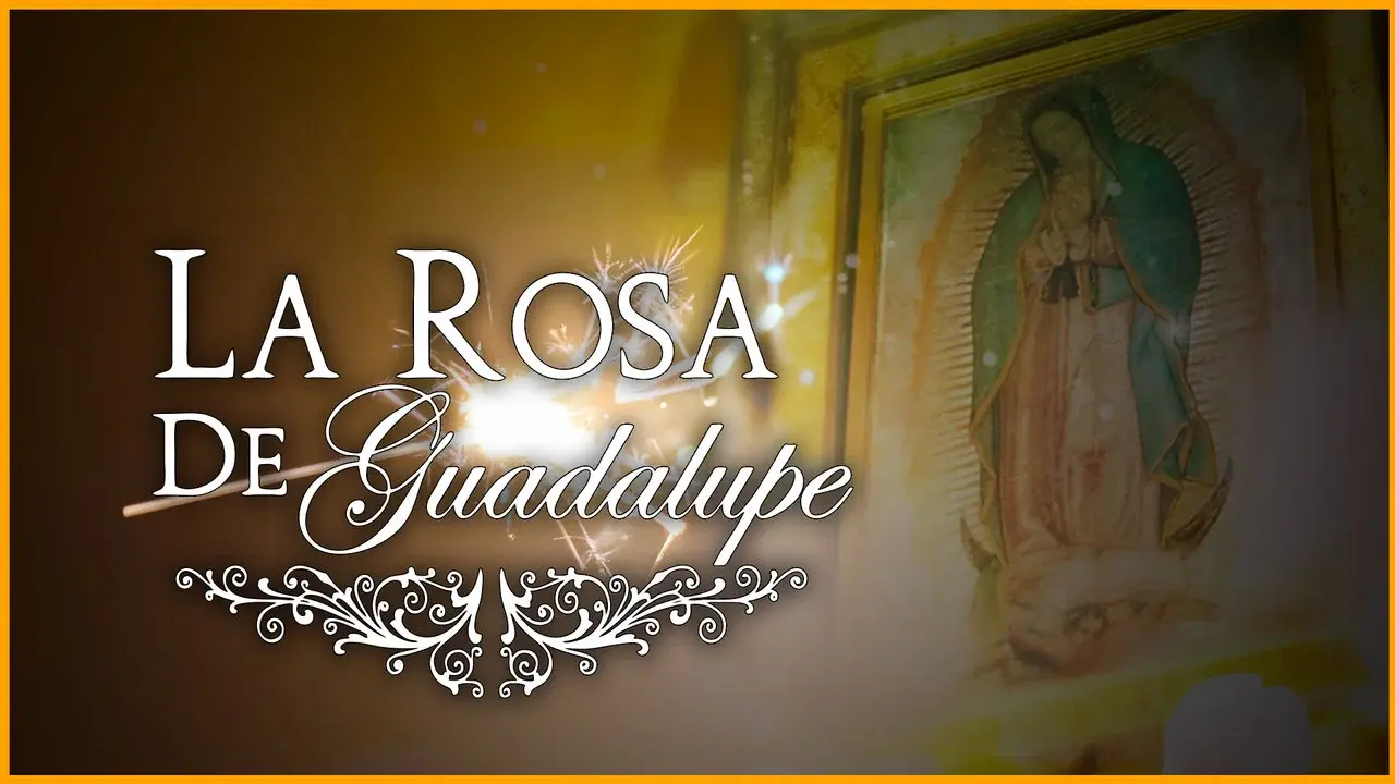 La rosa de Guadalupe