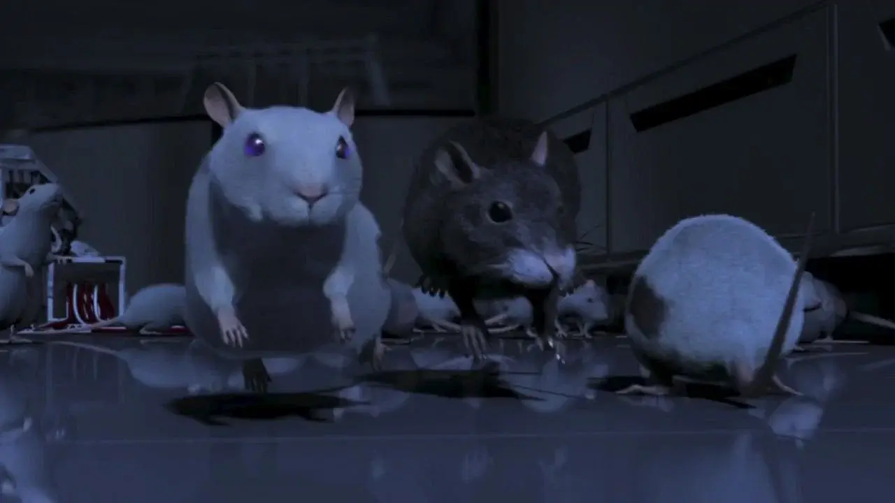 One Rat Short