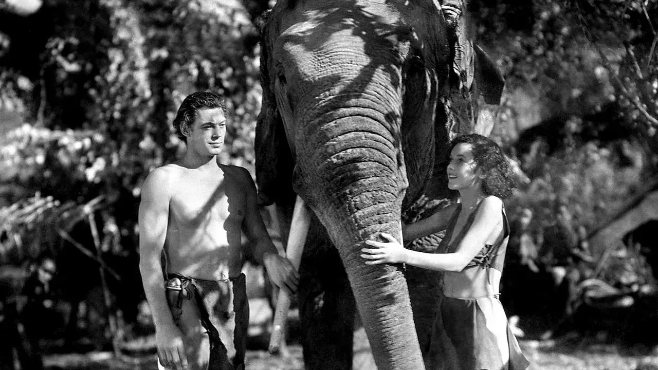 Tarzan et sa compagne