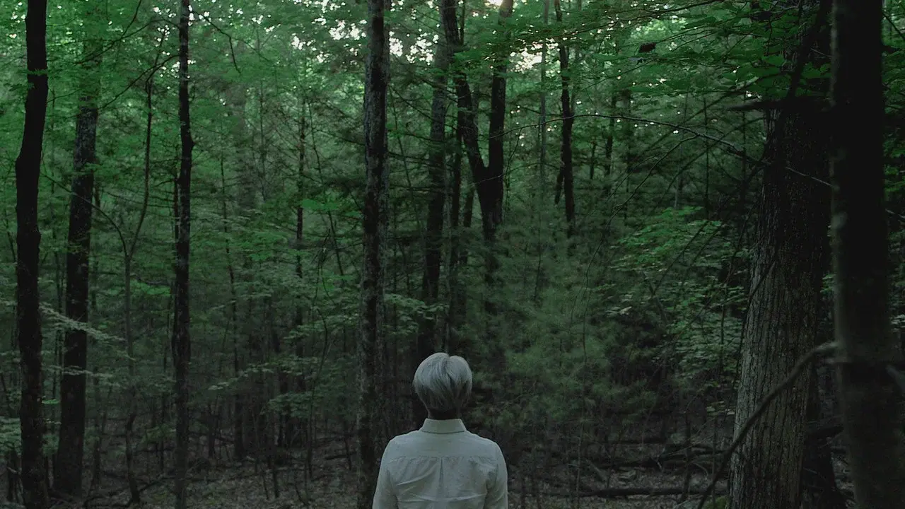 Ryuichi Sakamoto: CODA