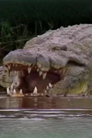 Gustave the Crocodile