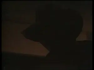 The Shadow Man / The Uncle Devil Show / Opening Day