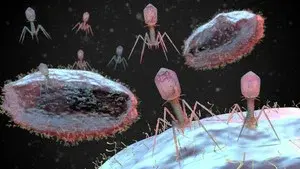 Is a Superbug Pandemic Coming?