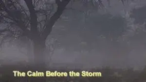 The Calm Before the Storm