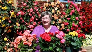 Fruit Trees and Ornamental Bedding