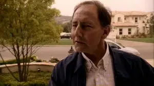 It's a Wonderful Lie