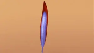 Now with Feathers!