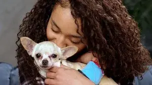 Do Dogs Really Love Us?
