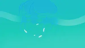 Ocean Gem