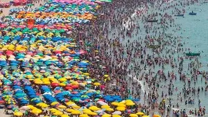 Are there too many of us on Earth?
