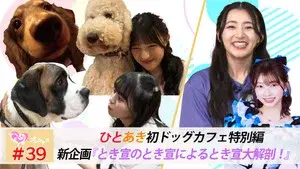 Episode 39