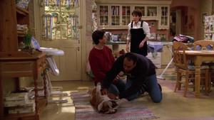 The Dog