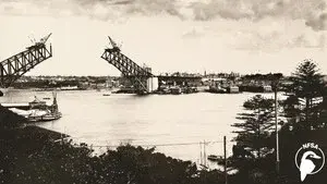 The Bridge