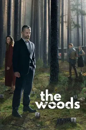 Limited Series
