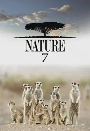 Season 7