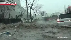 Tsunami Observation