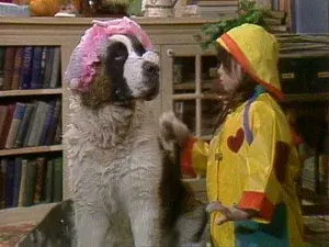 Dog Dough Afternoon