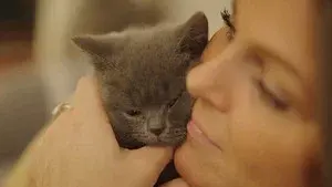 Pups, Kitties, and Three Little Piggies