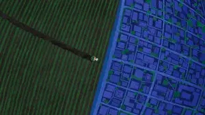 The Big Watermelon