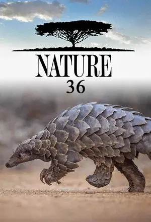 Season 36