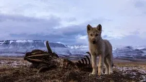 The Last Hunt
