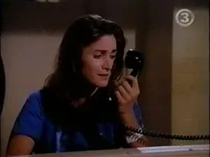 Meltdown