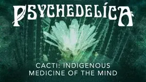 Cacti: Indigenous Medicine of the Mind