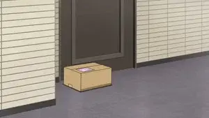 The Porch Pirate Epidemic