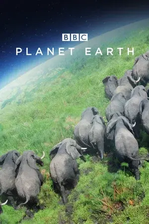 Miniseries