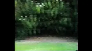 Shooting Phoenix