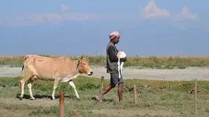 India's Realm of Big Animals