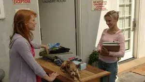 The Girl Next Door