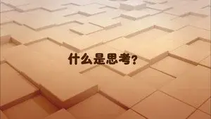 Am I Always Thinking?