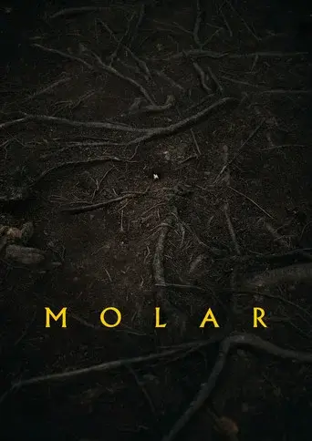 Molar