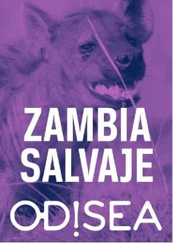 Tales from Zambia