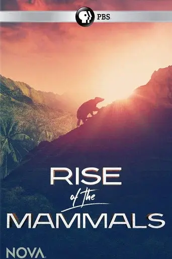 Rise of the Mammals