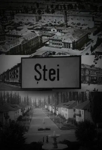 Ștei