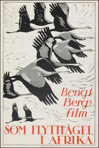 As a Migratory Bird in Africa