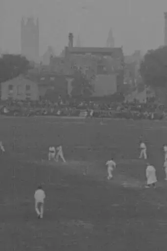 Yorks Draw with Surrey