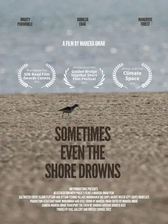 Sometimes Even the Shore Drowns