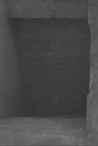 Tut-ankh Amen's Tomb (Daily Sketch Topical Budget 600-1)