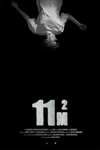 11m2