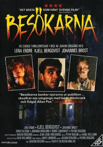 Besökarna