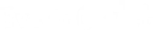 Eva the Owlet logo