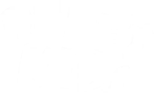 Bebe's Kids logo