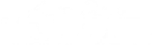 Austin Dillon's Life in the Fast Lane logo