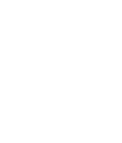 Z logo